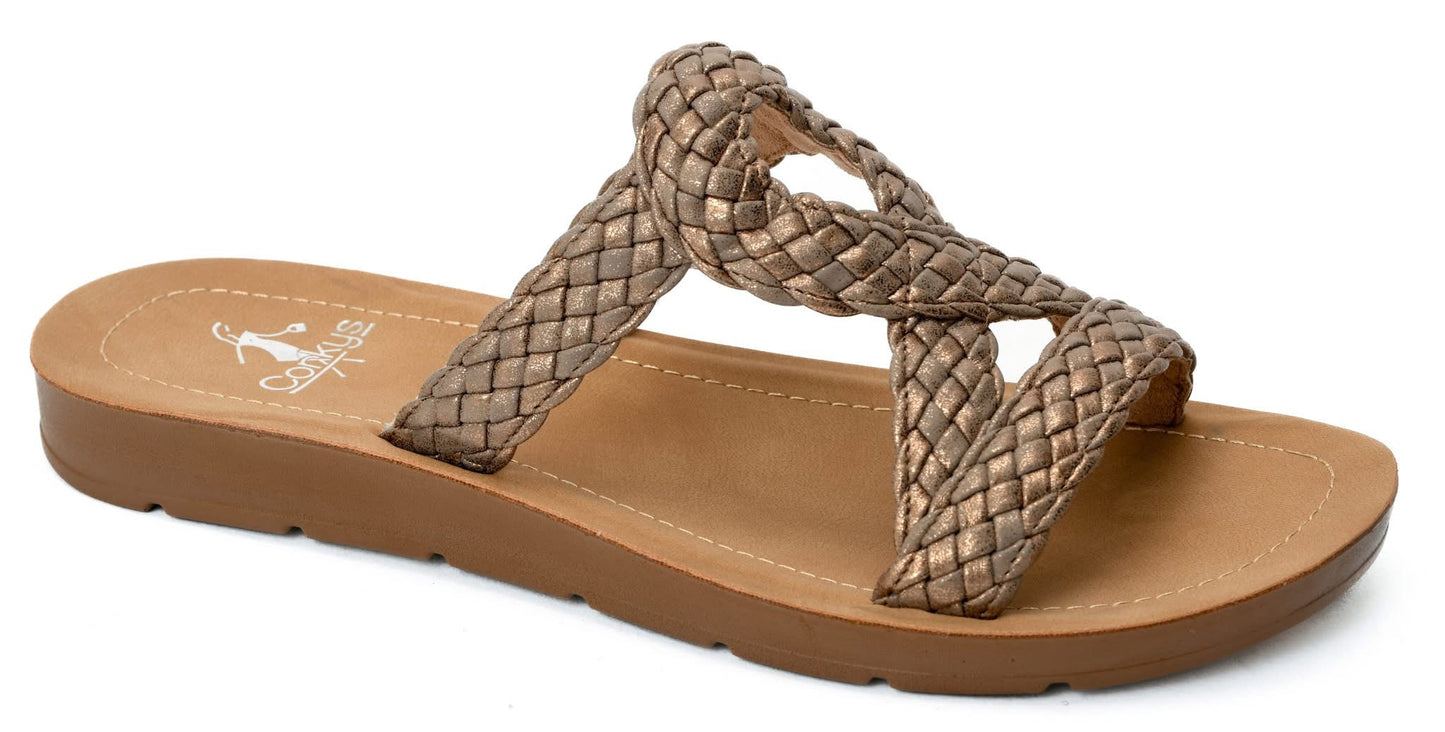 Corky's All Tangled Up - Bronze