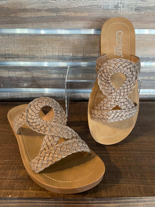 Corky's All Tangled Up - Bronze