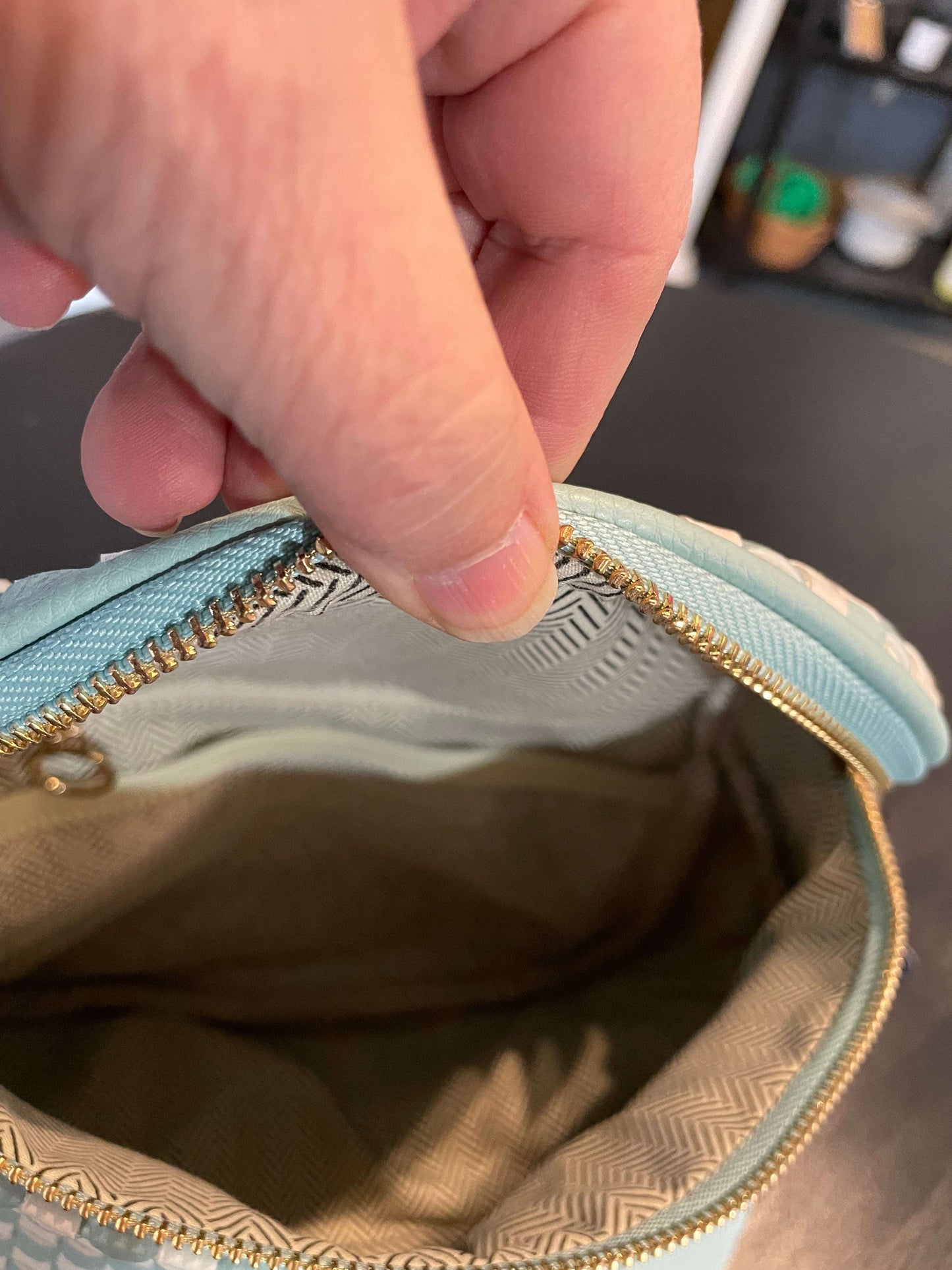 Mint Checker Purse