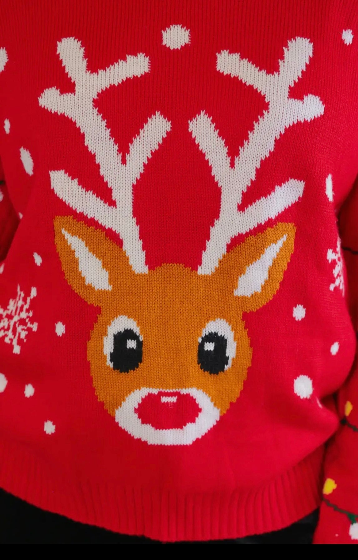 Reindeer Sweater